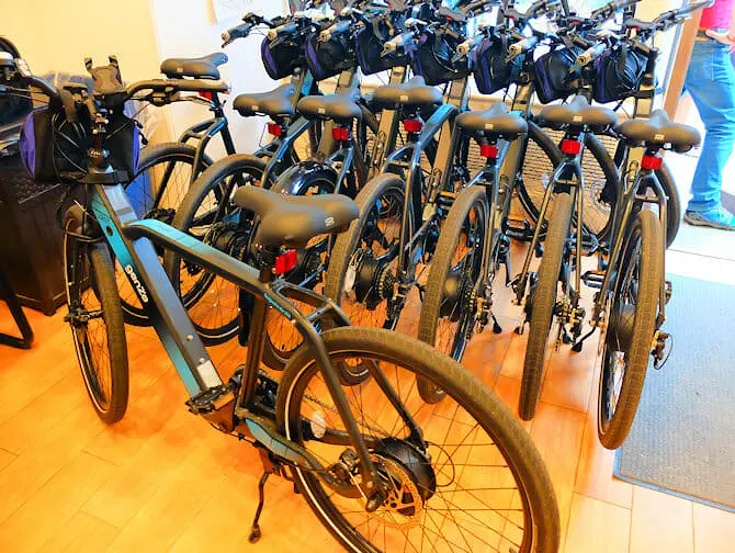 Viaggio per persone con disabilità a New York - Bicicletta elettrica