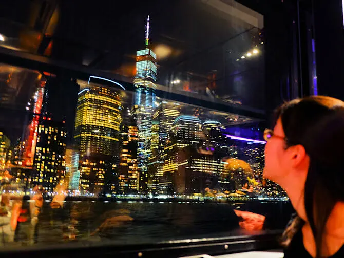 Crociera con cena a buffet a New York - Vista
