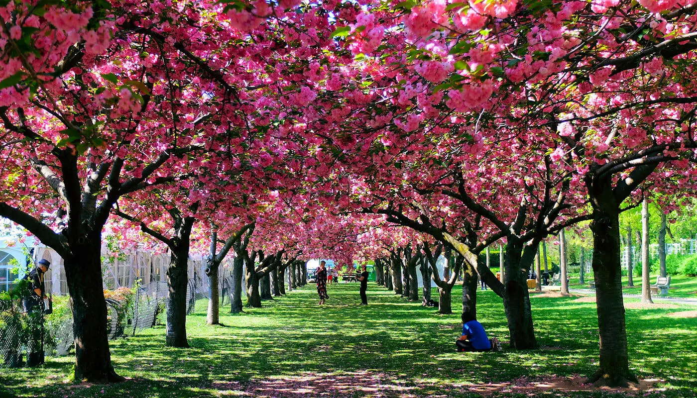 Il tempo a New York - Primavera