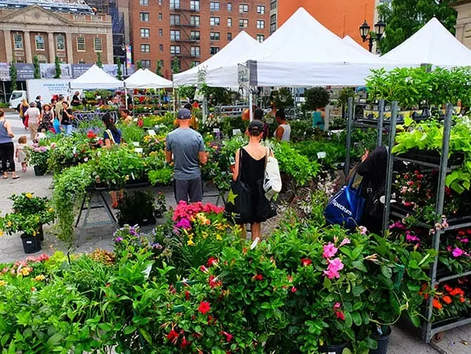 Mercati di New York - Piante a Union Square