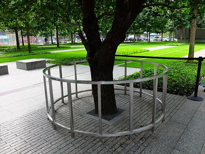 9/11 Memorial a New York - L'albero sopravvissuto