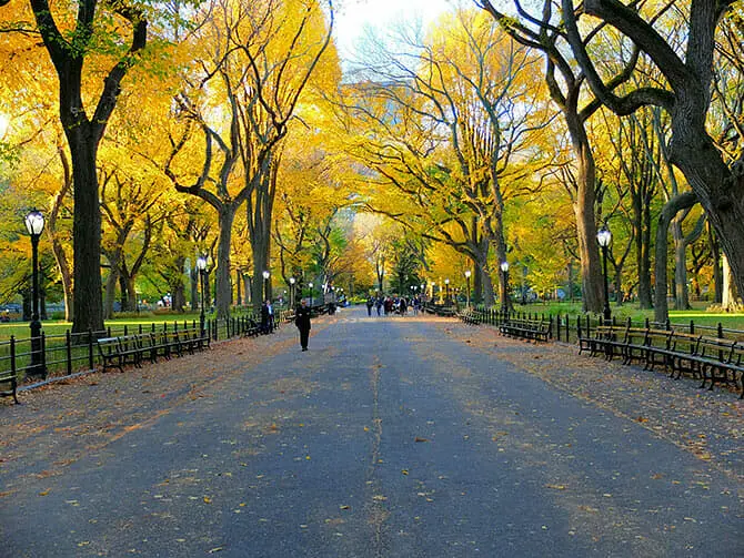 Central Park a New York