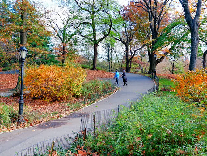 Parchi a New York