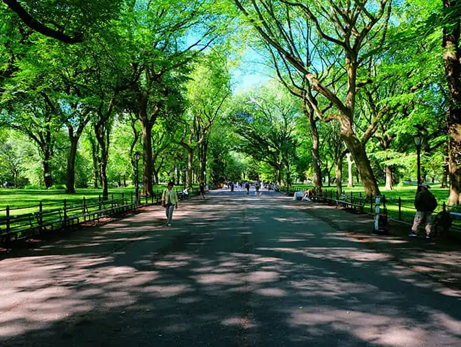 Labor Day a New York - Passeggiata in Central Park