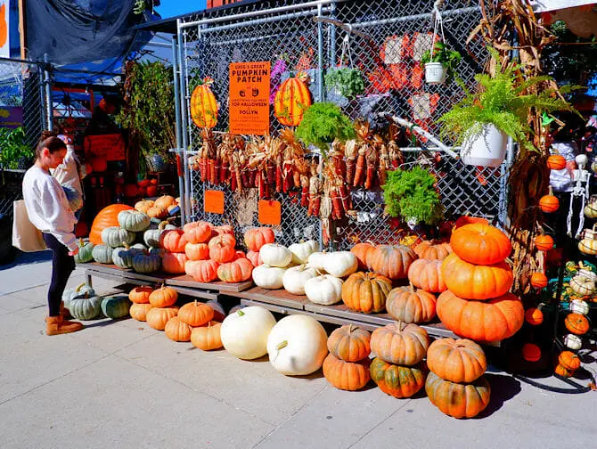 Halloween a New York