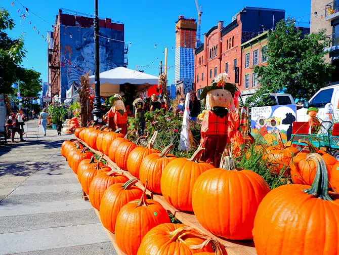 zucche di Halloween New York