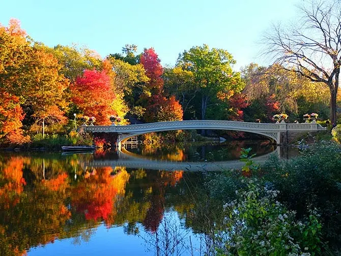 Tour alla scoperta delle scene dei film in Central Park