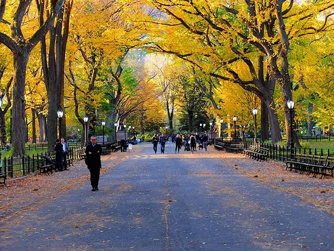 Tour alla scoperta delle scene dei film in Central Park - The Mall