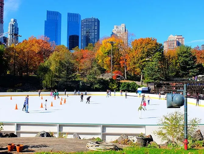 Tour alla scoperta delle scene dei film in Central Park - Wollman Rink