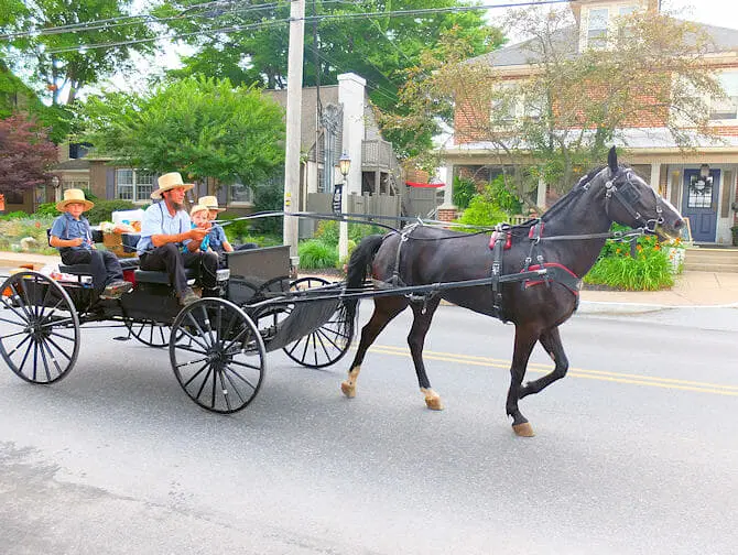 Da New York a Philadelphia e Amish Country escursione di un giorno - Visita agli Amish