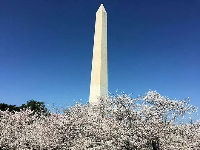 Da New York a Washington D.C. gita in bus - Monumento
