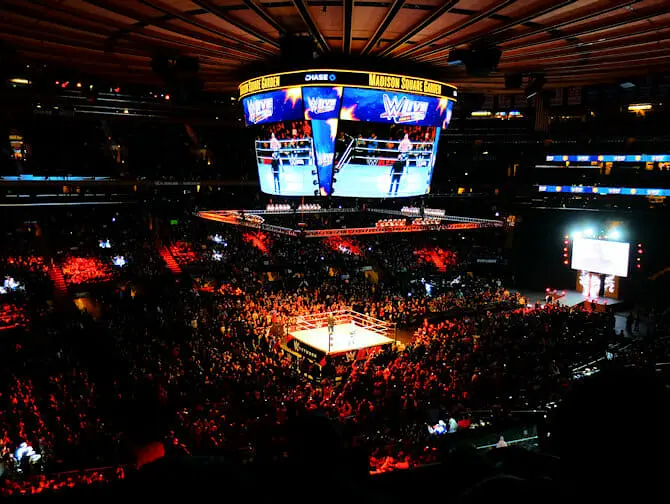 Biglietti per il WWE Wrestling a New York - Pubblico