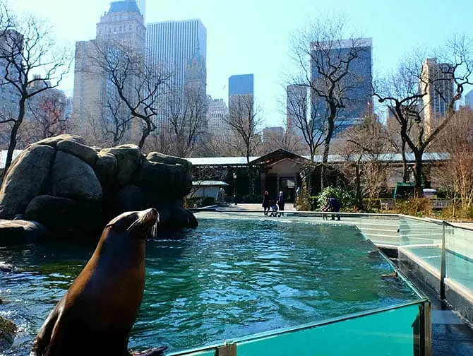 Biglietti Central Park Zoo