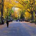 Central Park 