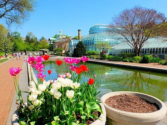 Botanical Gardens di New York - Brooklyn Botanic Garden