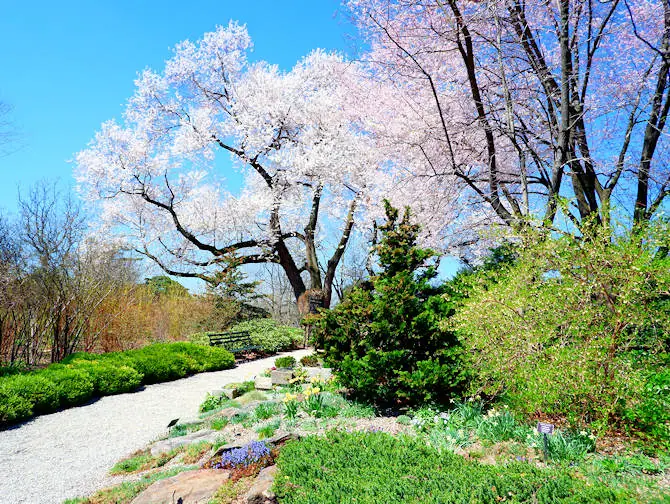Botanical Gardens di New York - New York Botanical Garden nel Bronx
