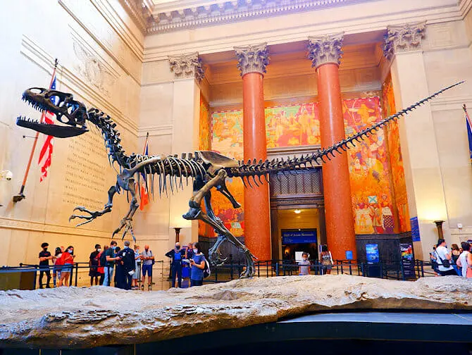 Go City All-Inclusive New York Pass - Museo