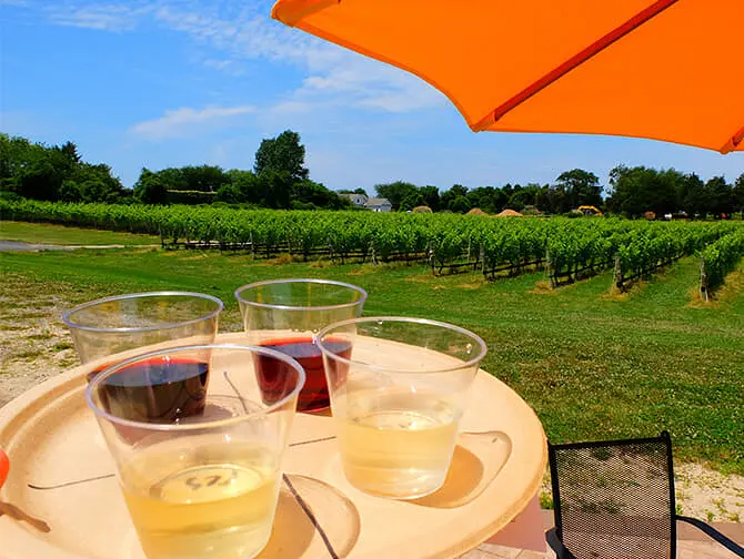 Tour di cantine con degustazione da New York - Degustazione