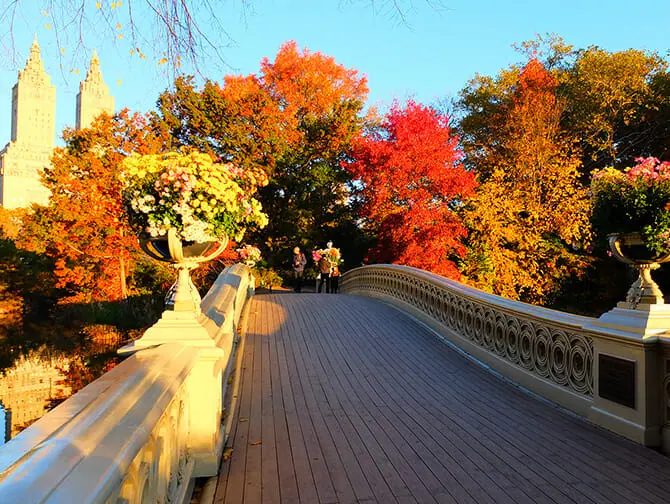 Itinerari a piedi a New York - Central Park Veduta
