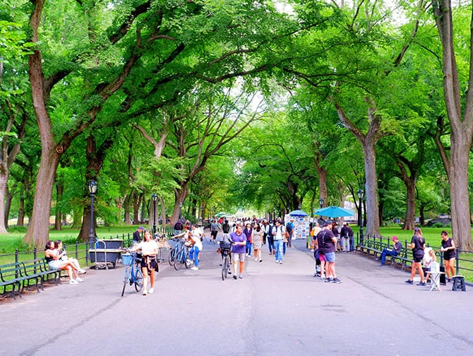 Itinerari a piedi a New York - Central Park
