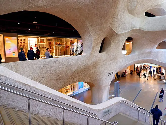 The American Museum of Natural History a New York - Estensione