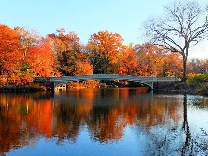 Tour in bici a New York - Bow Bridge