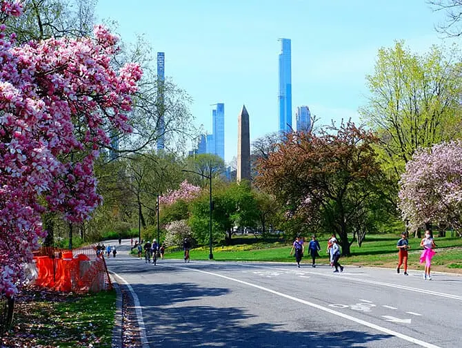 Pass per New York - Bici