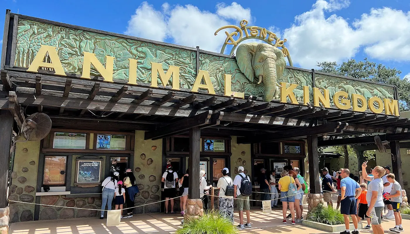 Combina New York e Orlando - Disneys Animal Kingdom parco a tema