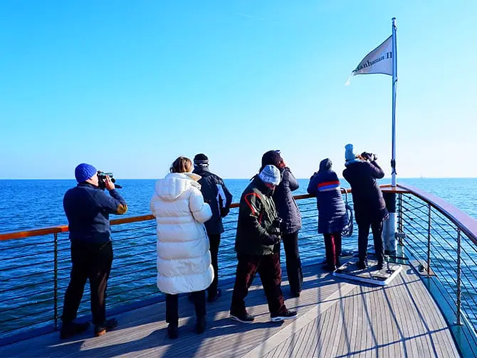 Tour in barca per osservare foche e uccelli a New York