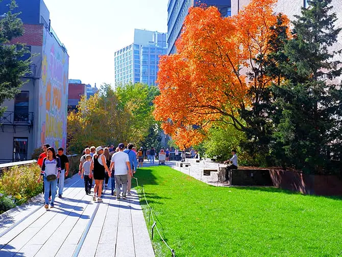 L'High Line a New York - Natura