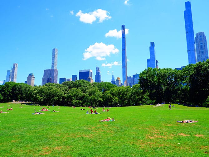 Noleggio bici a New York con Picnic - Posto per fare picnic