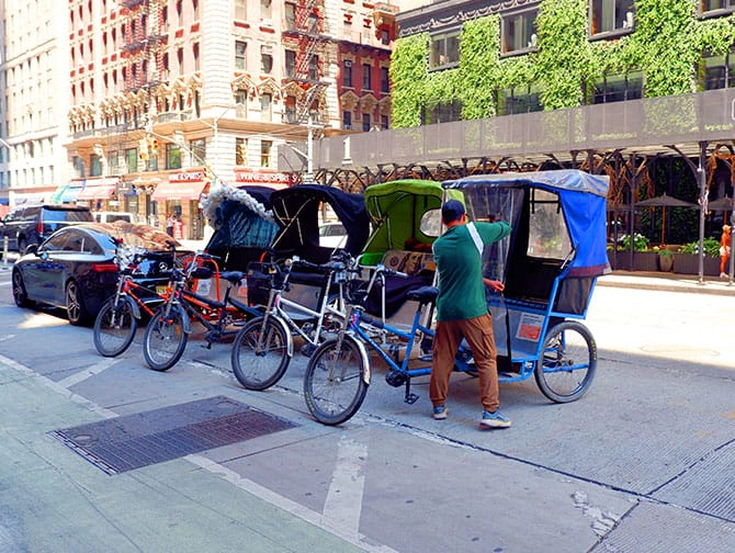 Tour in risciò a Central Park - Risciò