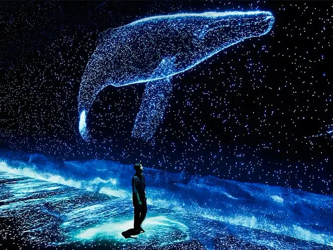 Biglietti per l'Arte Museum di New York