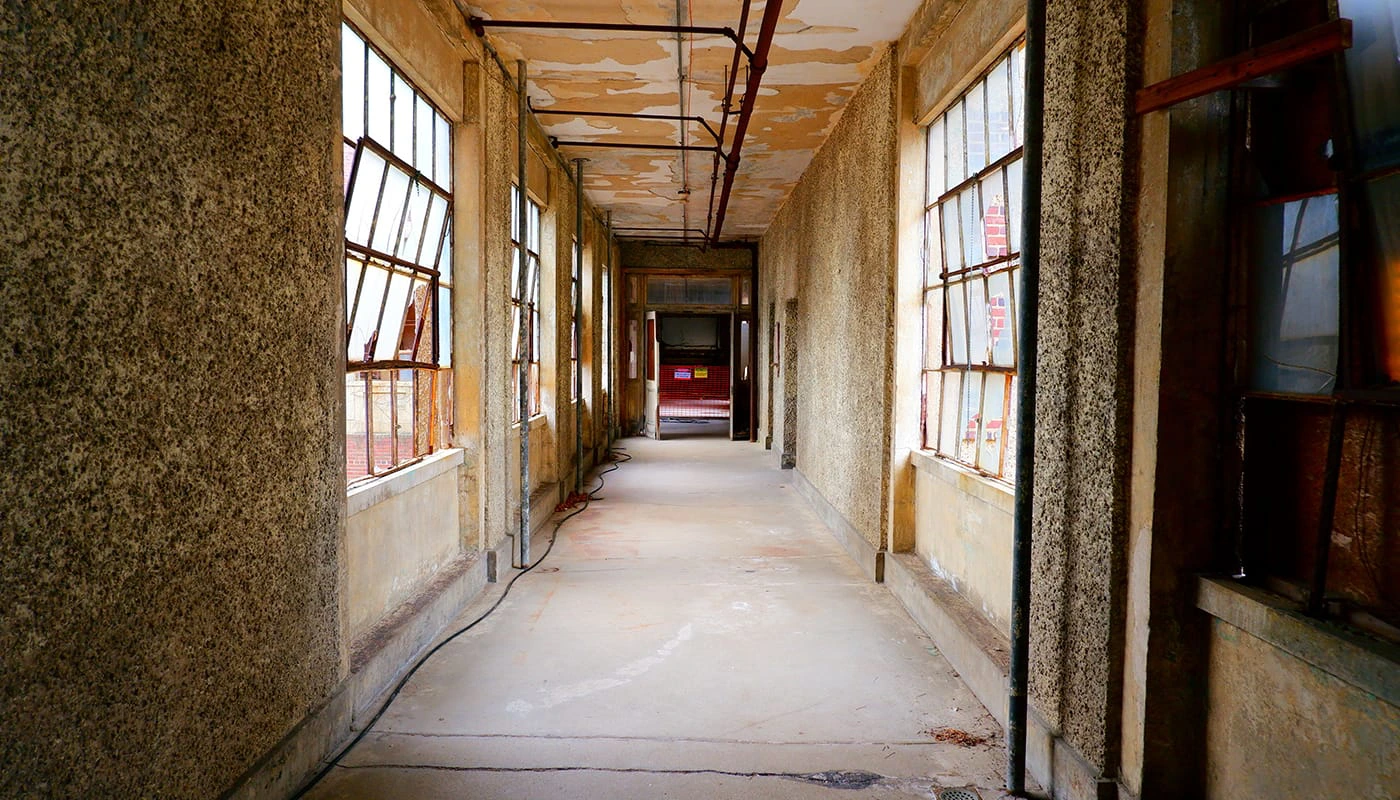 Tour Hard Hat di Ellis Island a New York - Storia unica