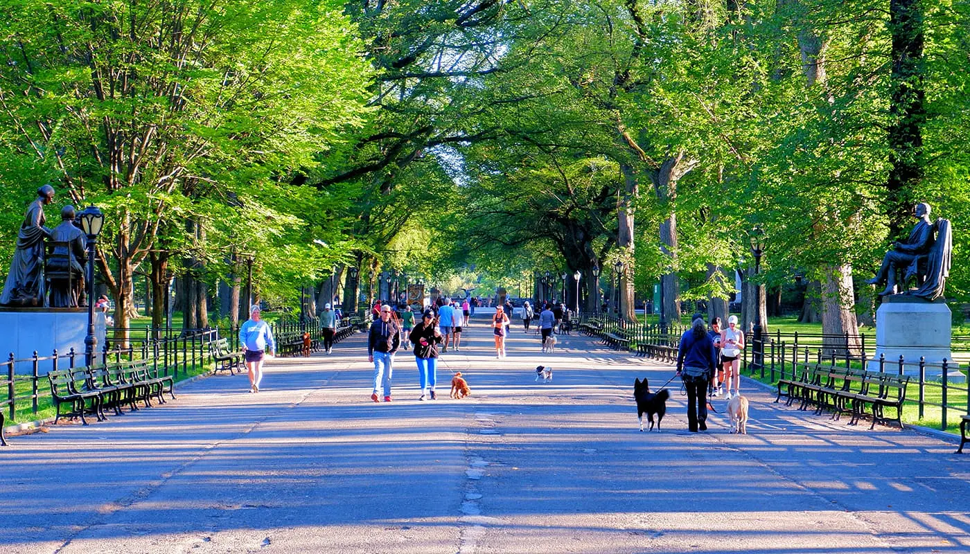 I newyorkesi - Persone che vivono a New York