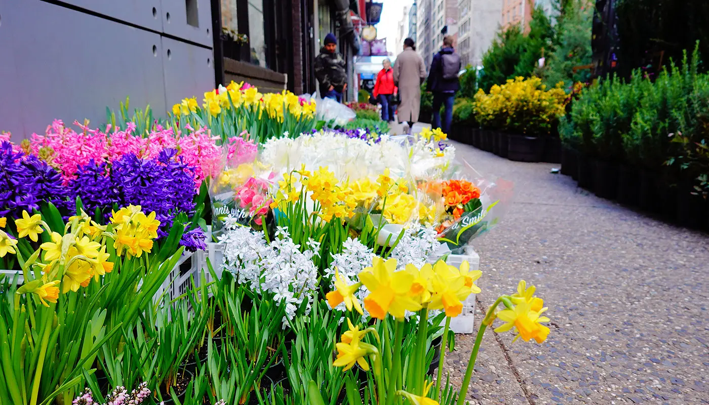 Hotel a Midtown Manhattan - Cambria Hotel New York Chelsea