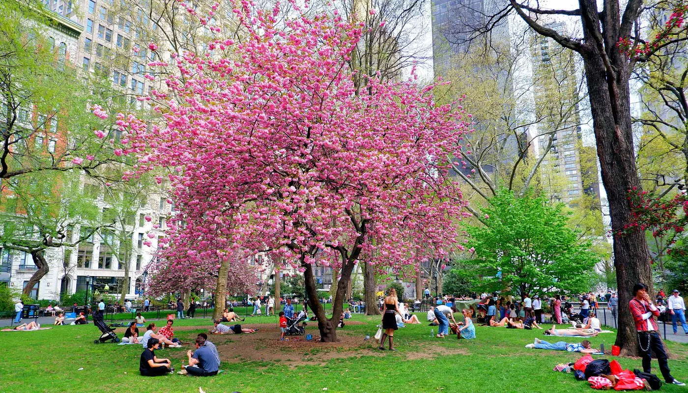 Madison Square Park a New York - Luogo dove i newyorkesi si rilassano