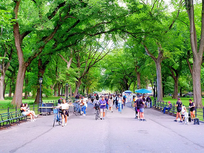 Itinerario a piedi a Central Park a New York